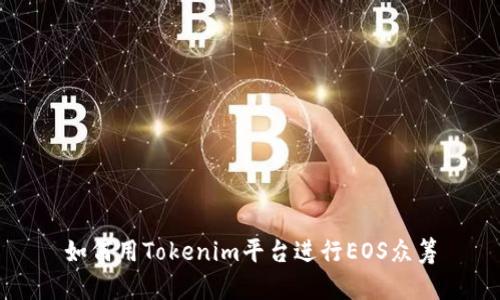 如何用Tokenim平台进行EOS众筹