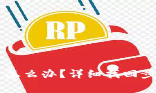 IM钱包丢币了怎么办？详细找回步骤与注意事项