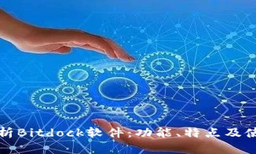 全面解析Bitdock软件：功能、特点及使用指南
