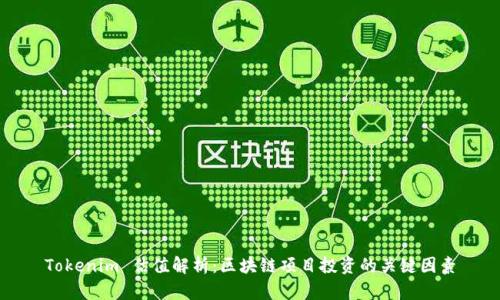 Tokenim 估值解析：区块链项目投资的关键因素
