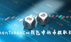 如何将TokenTokenIm钱包中的