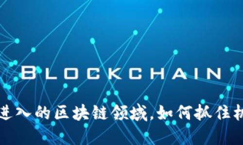 现在可以进入的区块链领域，如何抓住机遇与发展