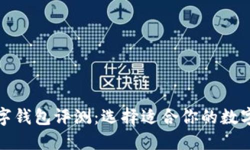 最优质数字钱包评测：选择适合你的数字钱包指南