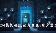 TokenTokenIM钱包的现状与未