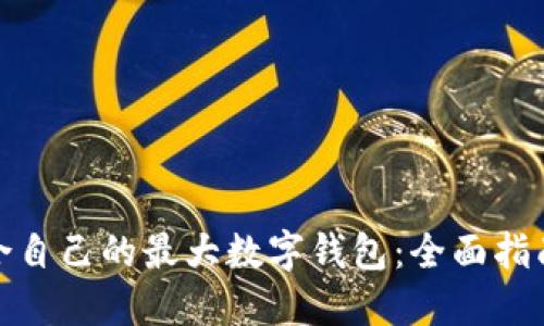 如何选择适合自己的最大数字钱包：全面指南与实用建议