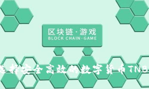 如何选择安全高效的数字货币TNB钱包？