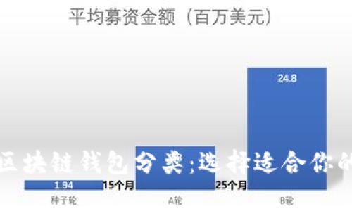 全面解析区块链钱包分类：选择适合你的钱包类型