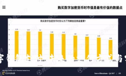 中国数字钱包支付：未来的支付方式与实际应用