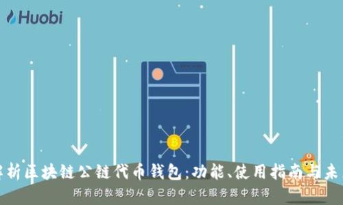全面解析区块链公链代币钱包：功能、使用指南与未来发展