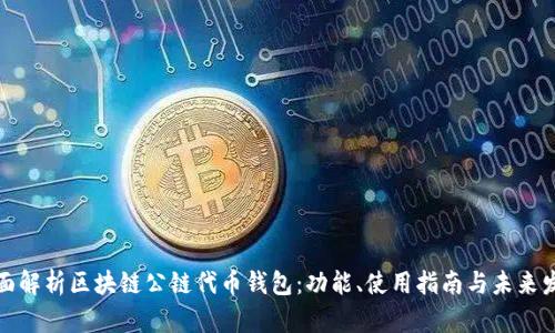 全面解析区块链公链代币钱包：功能、使用指南与未来发展