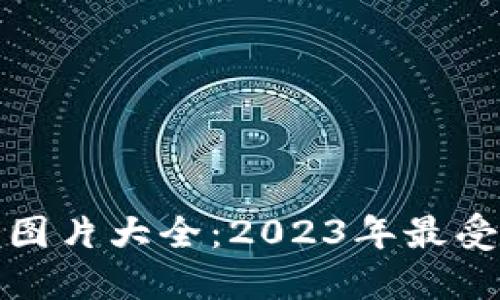 加密货币钱包截图图片大全：2023年最受欢迎的选择与展示