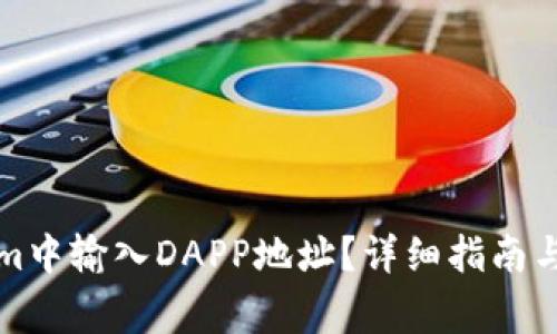 如何在Tokenim中输入DAPP地址？详细指南与常见问题解答