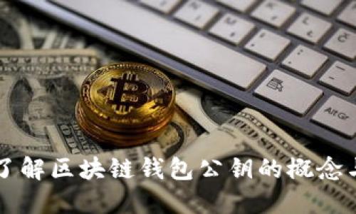 深入了解区块链钱包公钥的概念与应用