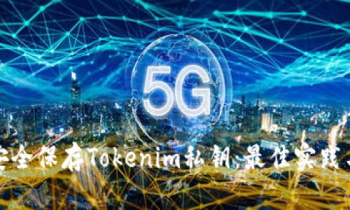 如何安全保存Tokenim私钥：最佳实践与技巧