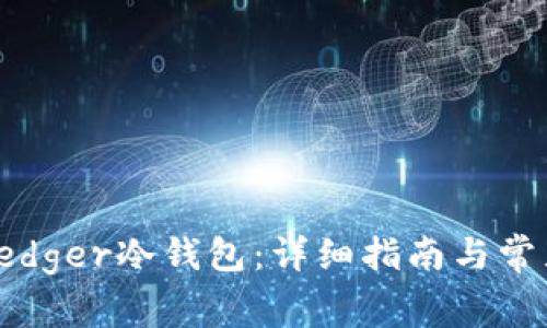 如何设置Ledger冷钱包：详细指南与常见问题解答