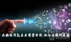 区块链钱包未来前景分析