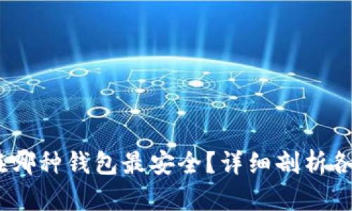 USDT存放在哪种钱包最安全？详细剖析各种钱包类型