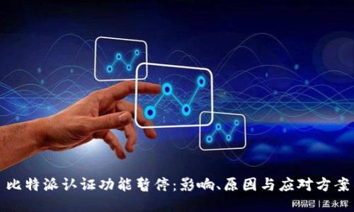 比特派认证功能暂停：影响、原因与应对方案