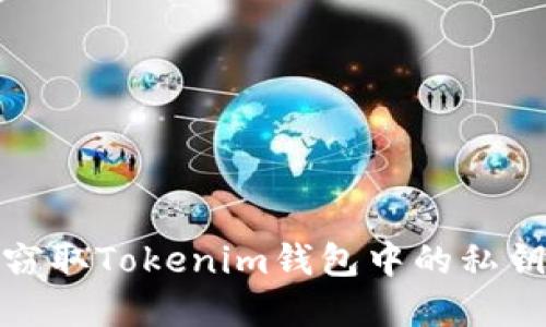 恶意程序如何窃取Tokenim钱包中的私钥及其防范措施