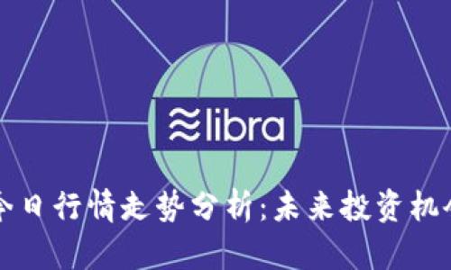 狗狗币价格今日行情走势分析：未来投资机会与风险评估
