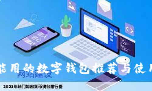 大陆能用的数字钱包推荐与使用指南