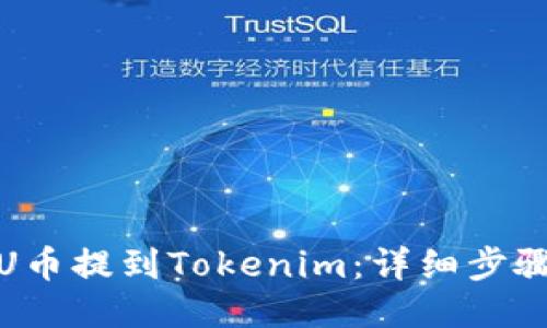 如何将U币提到Tokenim：详细步骤与策略