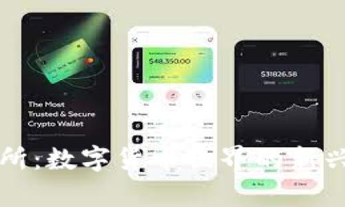 钱包交易所：数字货币世界的新兴平台解析