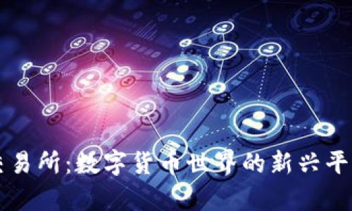 钱包交易所：数字货币世界的新兴平台解析