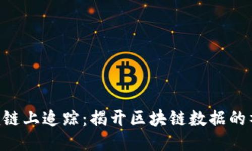 Tokenim链上追踪：揭开区块链数据的神秘面纱