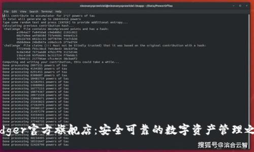 Ledger官方旗舰店：安全可靠的数字资产管理之选