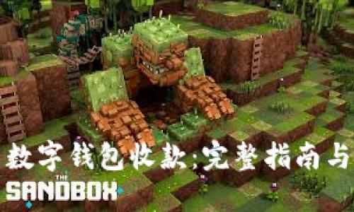 如何使用数字钱包收款：完整指南与实用技巧