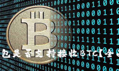 TokenTokenIM钱包是否支持接收BTC？全面解析与使用指南