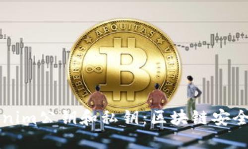 理解Tokenim公钥和私钥：区块链安全基础知识