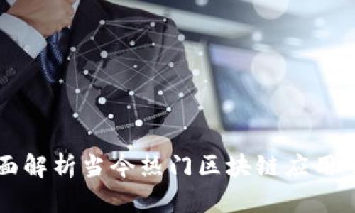 全面解析当今热门区块链应用平台