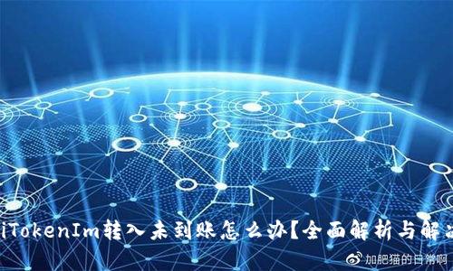 ziaotiTokenIm转入未到账怎么办？全面解析与解决方案