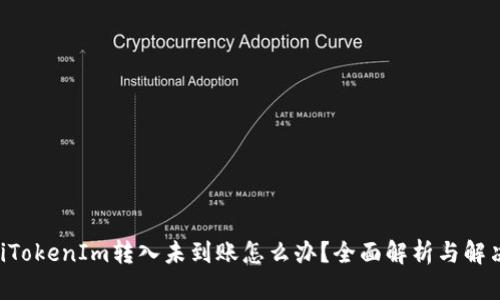 ziaotiTokenIm转入未到账怎么办？全面解析与解决方案