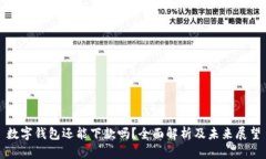 数字钱包还能下款吗？全