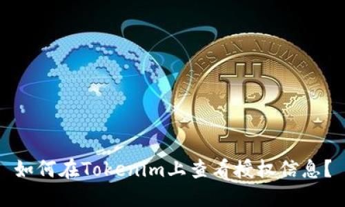 如何在Tokenim上查看授权信息？