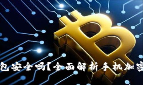 手机端加密钱包安全吗？全面解析手机加密钱包的安全性