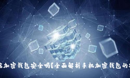 手机端加密钱包安全吗？全面解析手机加密钱包的安全性