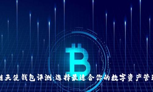 区块链天使钱包评测：选择最适合你的数字资产管理工具