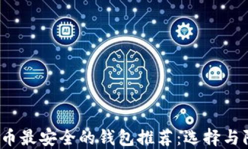 
2023年数字币最安全的钱包推荐：选择与防护策略详解
