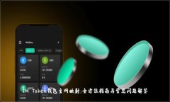 IM Token钱包主网映射：全方位指南与常见问题解答