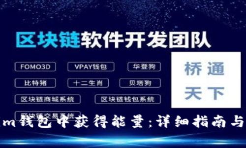 如何在Tokenim钱包中获得能量：详细指南与常见问题解答