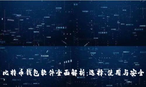 比特币钱包软件全面解析：选择、使用与安全