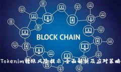 Tokenim转账风险提示：全面解析及应对策略