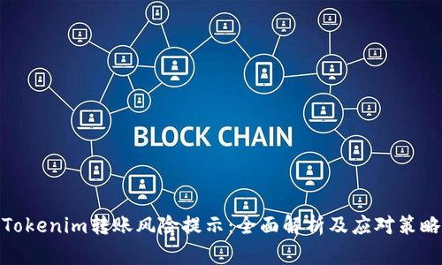 Tokenim转账风险提示：全面解析及应对策略