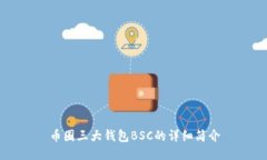 币圈三大钱包BSC的详细简