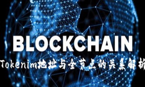 Tokenim地址与全节点的关系解析