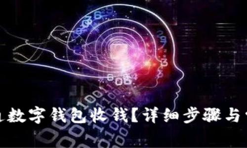 如何快速开通数字钱包收钱？详细步骤与常见问题解答